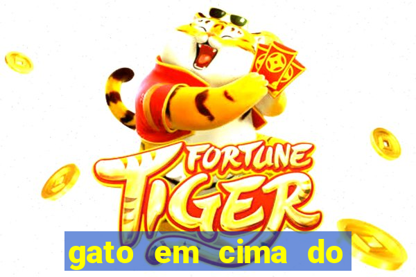 gato em cima do telhado significado espiritual